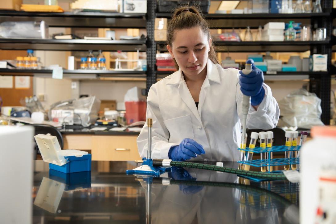 生物实验室学生用移液管转移化学物质